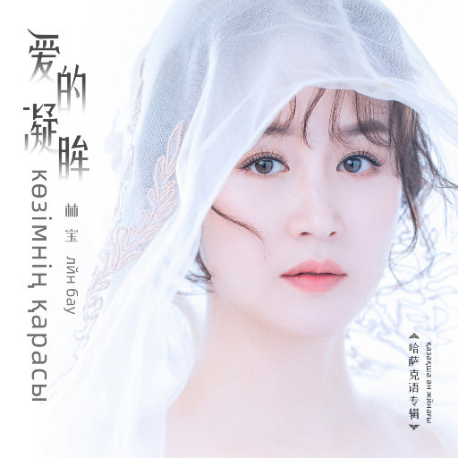 538精品在线观看
