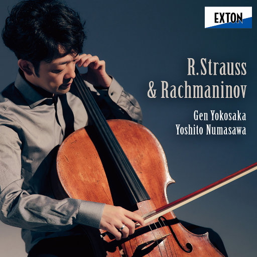 538精品在线观看
