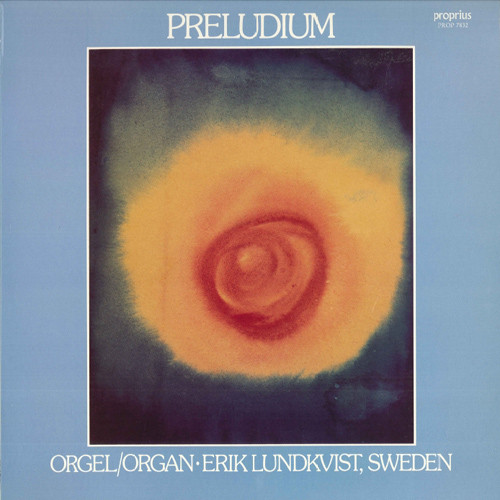 538精品在线观看
